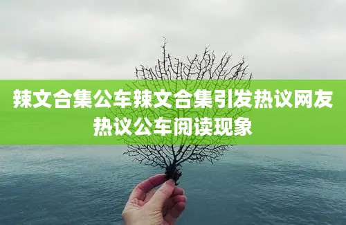 辣文合集公车辣文合集引发热议网友热议公车阅读现象