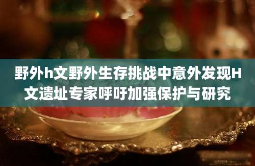 野外h文野外生存挑战中意外发现H文遗址专家呼吁加强保护与研究