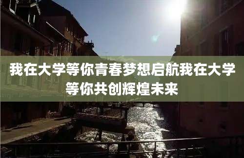 我在大学等你青春梦想启航我在大学等你共创辉煌未来
