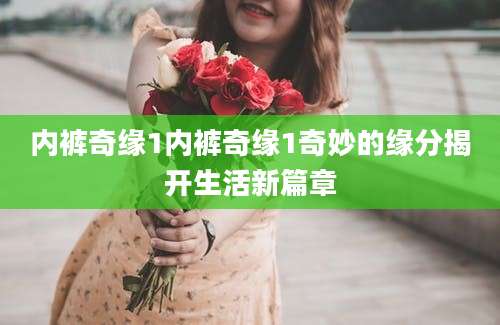 内裤奇缘1内裤奇缘1奇妙的缘分揭开生活新篇章