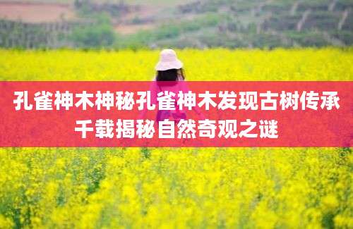 孔雀神木神秘孔雀神木发现古树传承千载揭秘自然奇观之谜