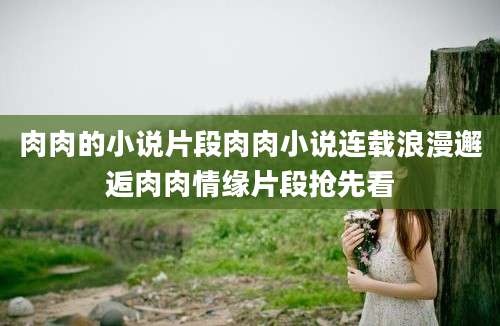 肉肉的小说片段肉肉小说连载浪漫邂逅肉肉情缘片段抢先看