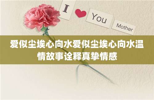 爱似尘埃心向水爱似尘埃心向水温情故事诠释真挚情感