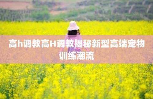 高h调教高H调教揭秘新型高端宠物训练潮流