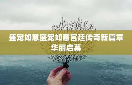 盛宠如意盛宠如意宫廷传奇新篇章华丽启幕