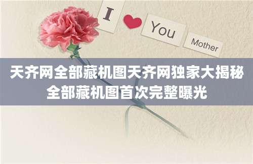 天齐网全部藏机图天齐网独家大揭秘全部藏机图首次完整曝光