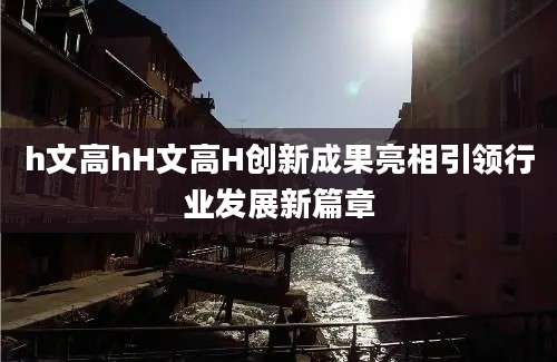 h文高hH文高H创新成果亮相引领行业发展新篇章