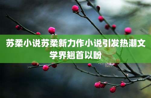 苏柔小说苏柔新力作小说引发热潮文学界翘首以盼