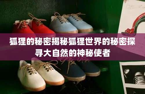 狐狸的秘密揭秘狐狸世界的秘密探寻大自然的神秘使者