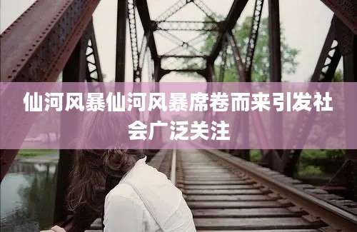 仙河风暴仙河风暴席卷而来引发社会广泛关注