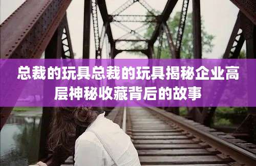 总裁的玩具总裁的玩具揭秘企业高层神秘收藏背后的故事