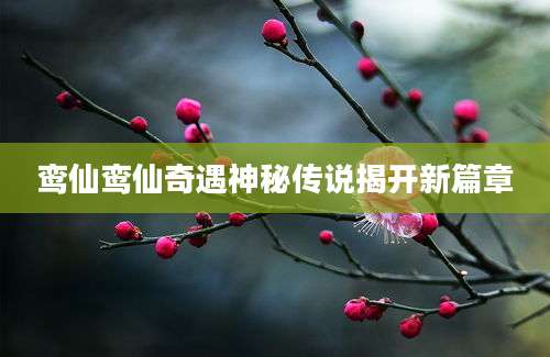 鸾仙鸾仙奇遇神秘传说揭开新篇章