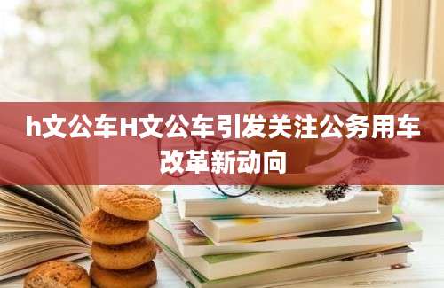 h文公车H文公车引发关注公务用车改革新动向