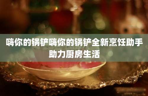 嗨你的锅铲嗨你的锅铲全新烹饪助手助力厨房生活