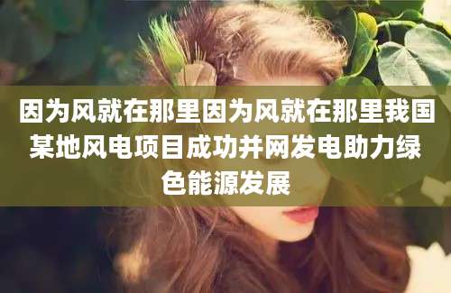 因为风就在那里因为风就在那里我国某地风电项目成功并网发电助力绿色能源发展
