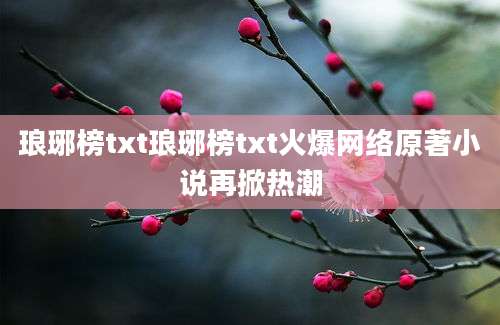 琅琊榜txt琅琊榜txt火爆网络原著小说再掀热潮
