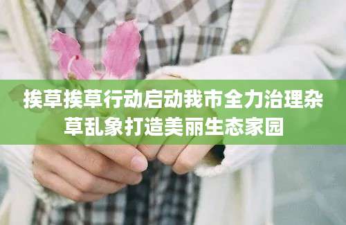 挨草挨草行动启动我市全力治理杂草乱象打造美丽生态家园