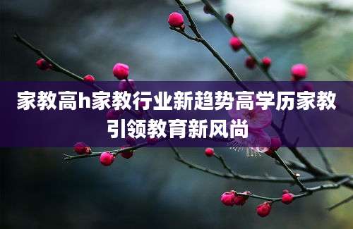 家教高h家教行业新趋势高学历家教引领教育新风尚