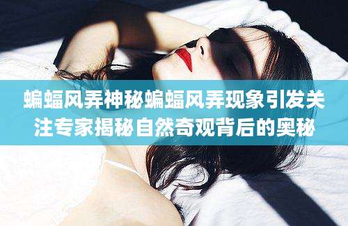 蝙蝠风弄神秘蝙蝠风弄现象引发关注专家揭秘自然奇观背后的奥秘