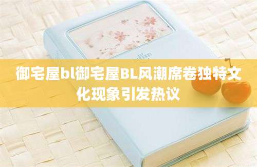 御宅屋bl御宅屋BL风潮席卷独特文化现象引发热议