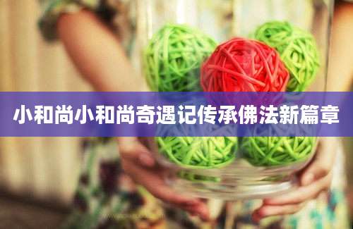小和尚小和尚奇遇记传承佛法新篇章