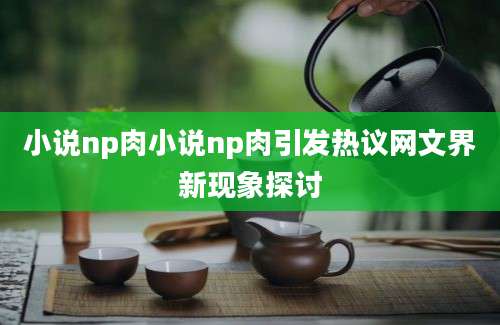 小说np肉小说np肉引发热议网文界新现象探讨