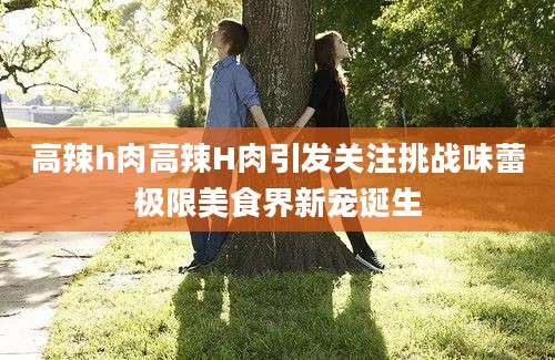 高辣h肉高辣H肉引发关注挑战味蕾极限美食界新宠诞生