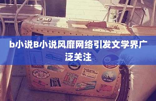 b小说B小说风靡网络引发文学界广泛关注