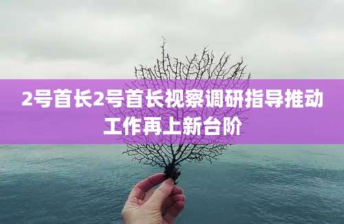 2号首长2号首长视察调研指导推动工作再上新台阶