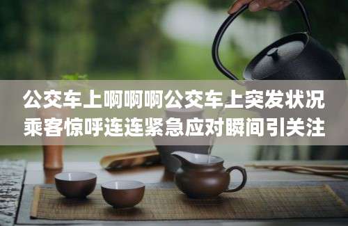 公交车上啊啊啊公交车上突发状况乘客惊呼连连紧急应对瞬间引关注