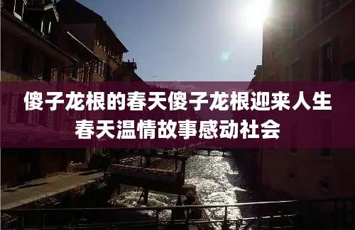 傻子龙根的春天傻子龙根迎来人生春天温情故事感动社会