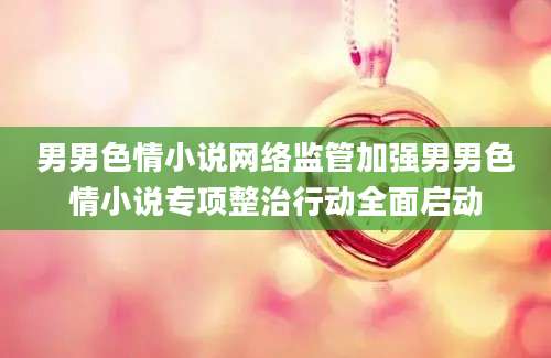 男男色情小说网络监管加强男男色情小说专项整治行动全面启动
