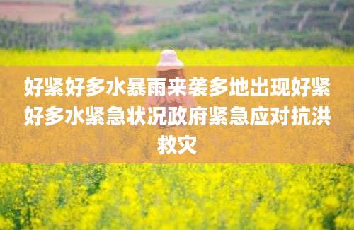 好紧好多水暴雨来袭多地出现好紧好多水紧急状况政府紧急应对抗洪救灾