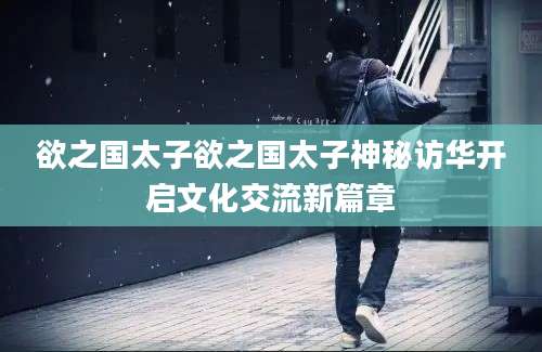 欲之国太子欲之国太子神秘访华开启文化交流新篇章
