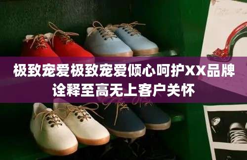 极致宠爱极致宠爱倾心呵护XX品牌诠释至高无上客户关怀
