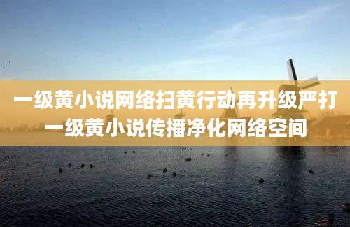 一级黄小说网络扫黄行动再升级严打一级黄小说传播净化网络空间