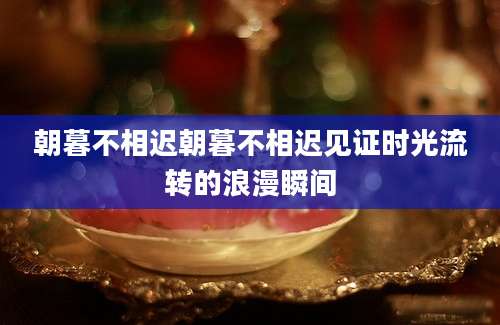 朝暮不相迟朝暮不相迟见证时光流转的浪漫瞬间