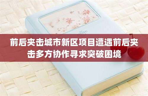前后夹击城市新区项目遭遇前后夹击多方协作寻求突破困境