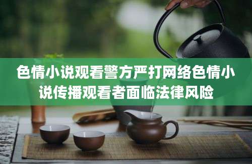 色情小说观看警方严打网络色情小说传播观看者面临法律风险