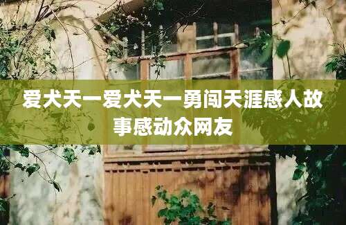 爱犬天一爱犬天一勇闯天涯感人故事感动众网友