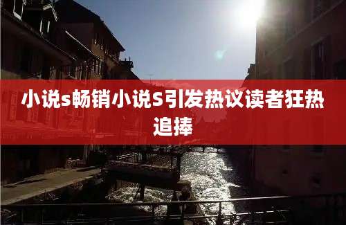 小说s畅销小说S引发热议读者狂热追捧