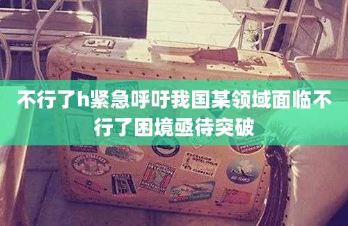不行了h紧急呼吁我国某领域面临不行了困境亟待突破