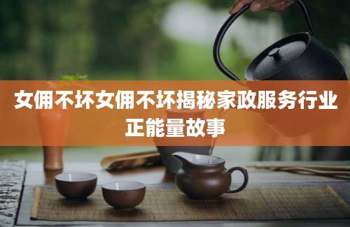 女佣不坏女佣不坏揭秘家政服务行业正能量故事