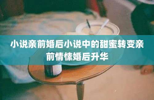小说亲前婚后小说中的甜蜜转变亲前情愫婚后升华