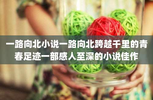 一路向北小说一路向北跨越千里的青春足迹一部感人至深的小说佳作