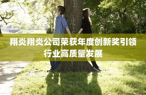 翔炎翔炎公司荣获年度创新奖引领行业高质量发展