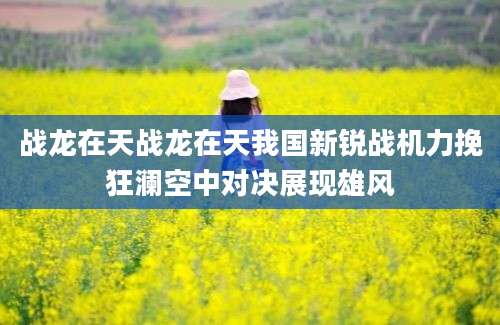 战龙在天战龙在天我国新锐战机力挽狂澜空中对决展现雄风