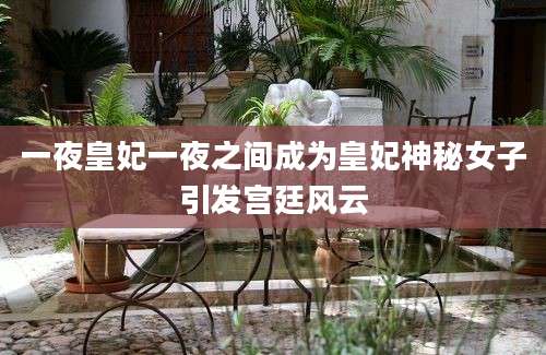 一夜皇妃一夜之间成为皇妃神秘女子引发宫廷风云