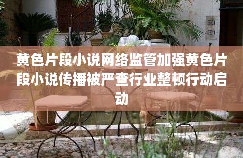 黄色片段小说网络监管加强黄色片段小说传播被严查行业整顿行动启动