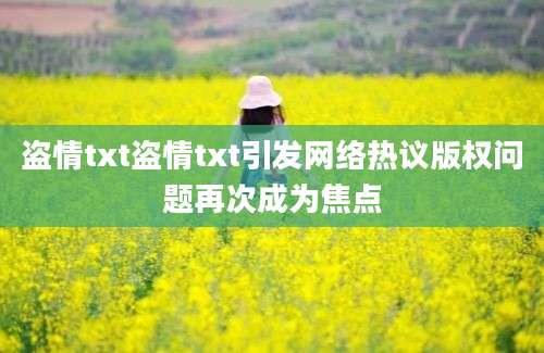 盗情txt盗情txt引发网络热议版权问题再次成为焦点